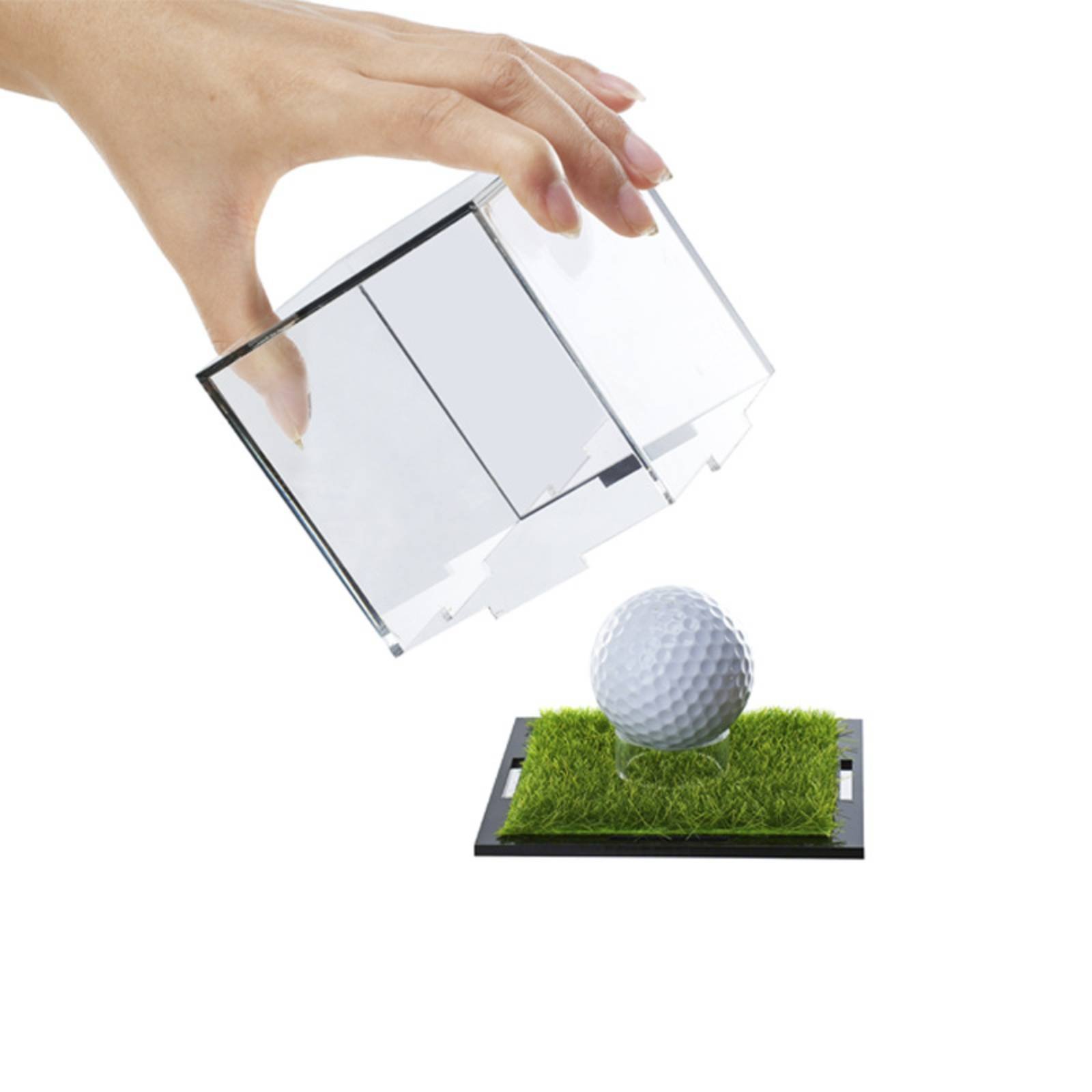 Mirror Back Display Case Remov - Display Case Acrylic recension och pris